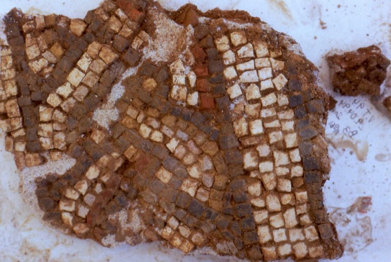 Fragmento de mosaico (Toralla, Vigo)