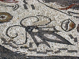 Detalle de Calamar. Mosaico del peristilo (Milreu)